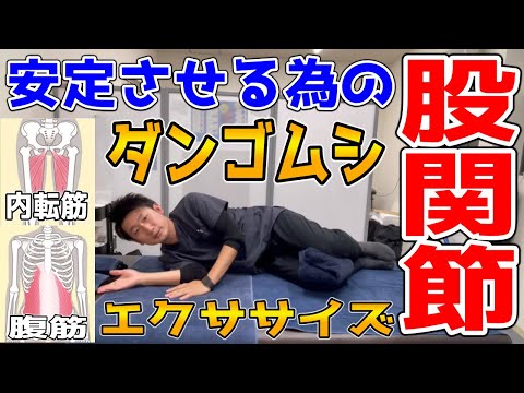 【運動】股関節を安定させる超簡単エクササイズ【ハリボディTV】