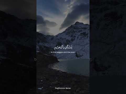 Melodious Quran Recitation to Bless Your Morning ☀️