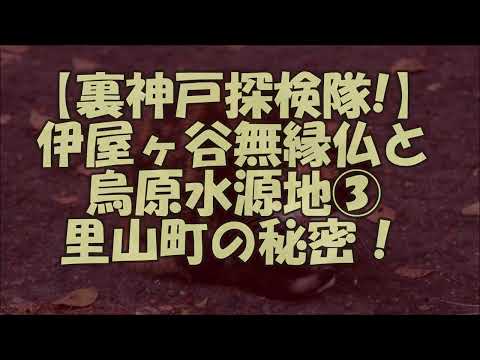 第三弾!【裏神戸探検隊!】《丸山最奥地》鵯越駅と里山町・伊屋ヶ谷谷底部落・廃アパート潜入！兵庫区なのに校区は丸山～現代の秘境の絶壁住宅群!（神戸市長田区・兵庫区）#昭和時代#文化住宅#廃屋#廃墟#