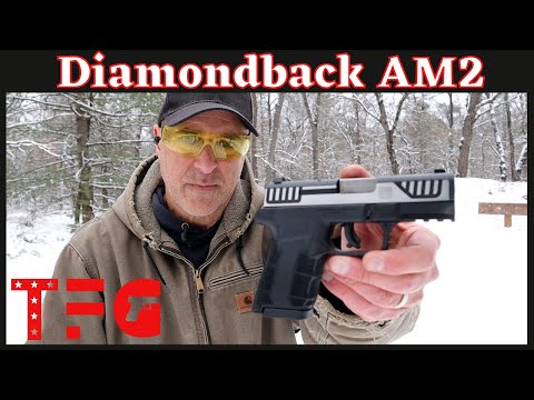 Diamondback AM2 "Budget Series" - TheFirearmGuy