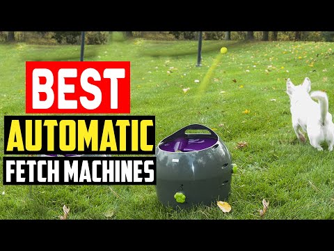 Top 5 Best Automatic Fetch Machines in 2023