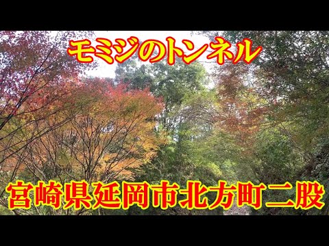 二股モミジトンネル　宮崎県延岡市北方町二股