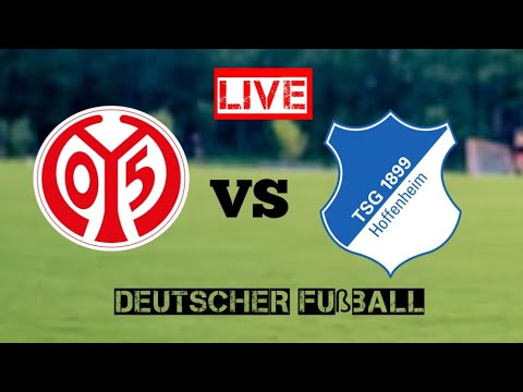 1 FSV Mainz 05 gegen TSG Hoffenheim Live-Fußball-Ergebnis | Deutsche Bundesliga | 2024