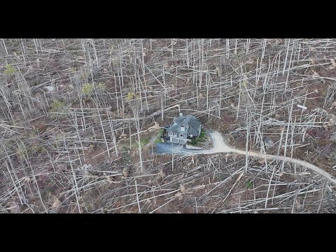 Absolutely DEVASTATING Hurricane HELENE Deforestation in Asheville, North Carolina