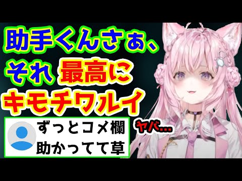 助手くんの「ある一言」に毒舌をお見舞いする頭脳【博衣こより/ホロライブ/holoX/切り抜き】