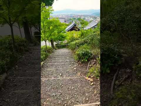 【4K】京都の街並み -Landscape of Kyoto-