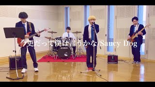 Saucy Dog 今更だって僕は言うかな cover