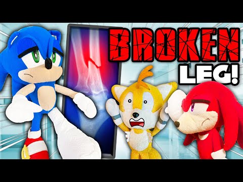 Sonic's Broken Leg! - Sonic and Friends