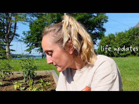 Packing to move to Maine, low rental income, apartment hunting & job updates. garden chat 🌱