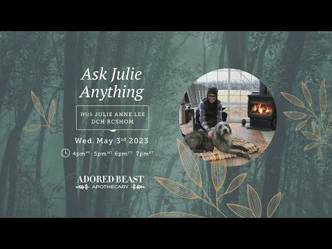 Ask Julie Anything - May's Q & A Session