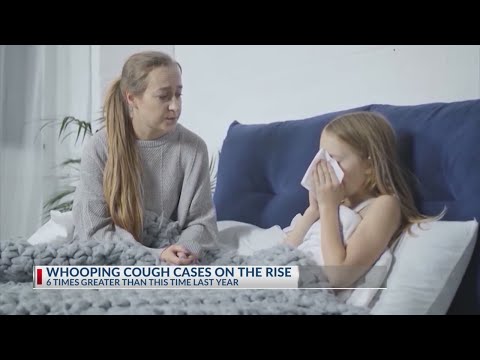 Whooping cough cases approach near record numbers