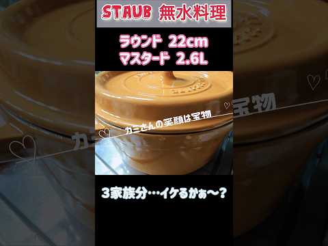 驚愕【staub】ストウブで無水料理…マジびっくり！ #shorts #ストウブ  #無水料理