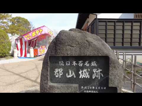 [開花情報]桜の名所 関西 奈良県大和郡山 大和郡山城跡 桜開花状況  2023年4月2日 　日本さくら名所100選