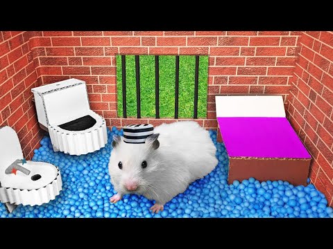 🐹 Hamster Escapes from the New Prison 👮 DIY Hamster Maze