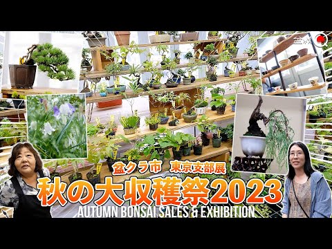 Kimiko and I went to an autumn bonsai sales and exhibition event. [Bonsai Q]