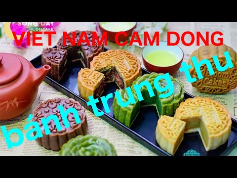 VIET NAM CAM DONG    bánh trung thu