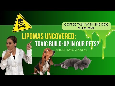 Lipomas Uncovered: Toxic Build-up In Pets?