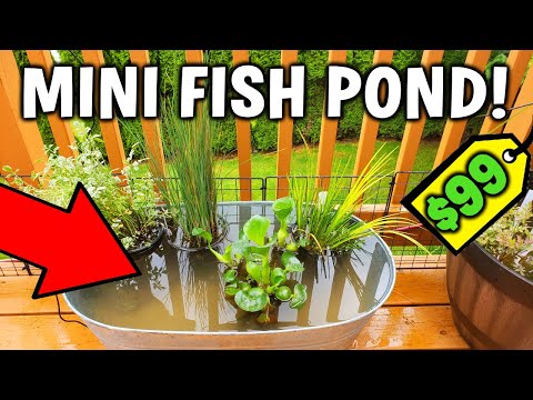 EASY DIY MINI DECK OR PATIO POND SETUP AND TUTORIAL