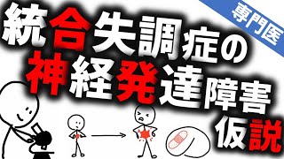 統合失調症の神経発達障害仮説［本格］統合失調症はいつ、どこから始まるのか 精神科専門医が知っておきたいこと