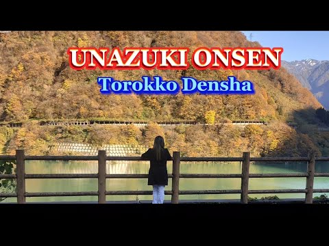 #117 UNAZUKI ONSEN/TOROKKO DENSHA #japan