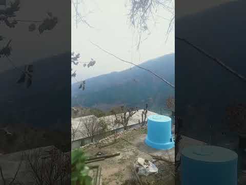 village jaykot view #shortvideo #youtubeshorts #village beauty