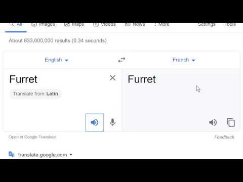 Furret in French