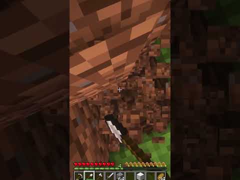 YOUTUBER trollt MÄDCHEN in MINECRAFT Evolution (Neues Projekt)