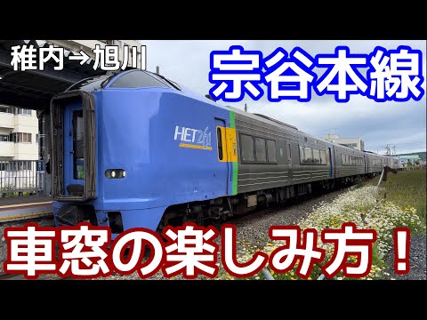 【最北の鉄路！】宗谷本線特急サロベツ（稚内→旭川）の車窓と稚内市内をご紹介します！