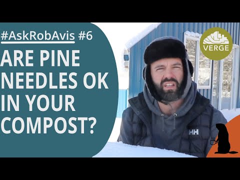 Are Pine Needles OK in Compost? Does Mulch Species Matter   #AskRobAvis 006