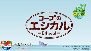 コープの森づくり　森づくりは海づくり