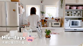 193. 3匹の猫と夫婦の日常🐱｜デスク収納💗夫が喜ぶ朝食＆夕食｜新しいキッチングッズ＆雑貨購入品🍞🍽