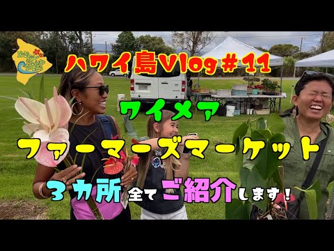 🌴ハワイ島Vlog#11🌴土曜の朝はワイメアのファーマーズマーケットで決まり！３カ所全てご紹介します！