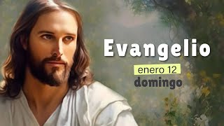 Lecturas del día de hoy Domingo 12 de enero de 2025 | Evangelio de Hoy, Hermano Andrés