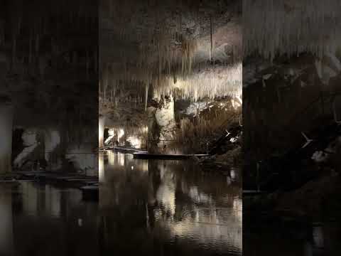 Lake Cave, Western Australia #travel #australia #cave