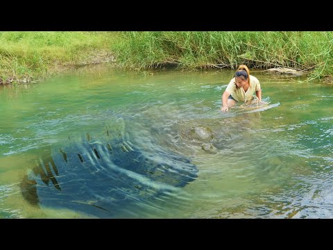 Clams in the water emit wealth signals, ancient handmade pearl collection techniques