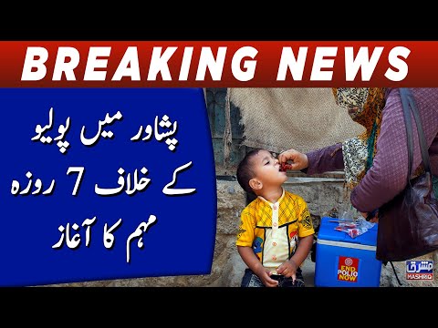 7 days campaign against polio started in Peshawar