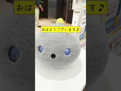 矢吹病院の癒し系ロボット「まるちゃん」に話しかけてみました。