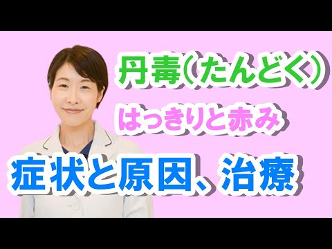 ハッキリ赤い丹毒（たんどく）症状と原因、治療【公式 やまぐち呼吸器内科・皮膚科クリニック】