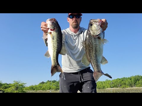 BASS FISHING SANTEE COOPER | BED FISHING| April 2023| Potato Creek | Lake Moultrie |  #bassmasters