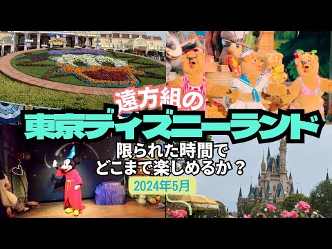 【2024年5月】とある遠方組の東京ディズニーランドの周り方/限られた時間でどこまで楽しめる？