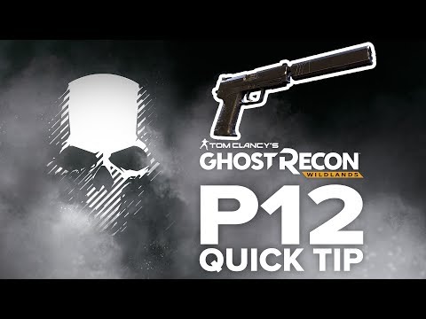 P12 location and info - Ghost Recon Wildlands (quick tip)