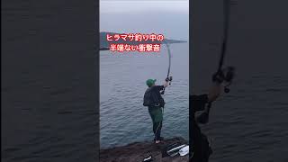 ヒラマサ釣り中に起きた事故 #しゅんときいの釣りtube #ルアー #青物 #魚