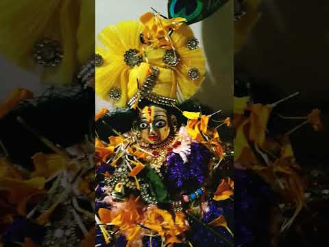 sabhi ko subh ratri hare krishna radhe radhe#love #krishna #youtube #viral#shortvideo