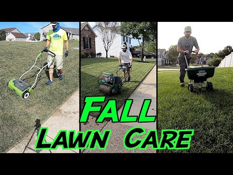 Striving for the BEST Lawn // Dethatching, Core Aerating, Overseeding Results