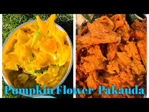 Pumpkin Flower Pakauda