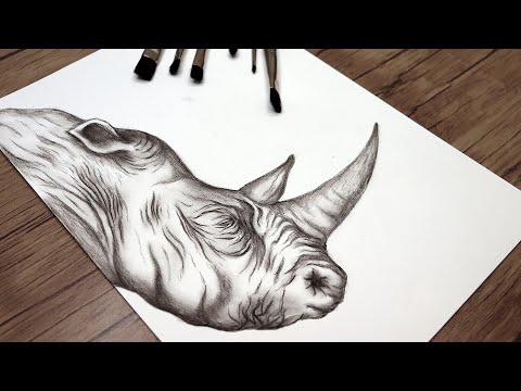 How to Draw a Realistic Rhino Head | Animals Pencils Drawing | Step by Ste