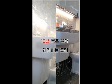 10년 묵은 물때 0원으로 제거하는 꿀팁!