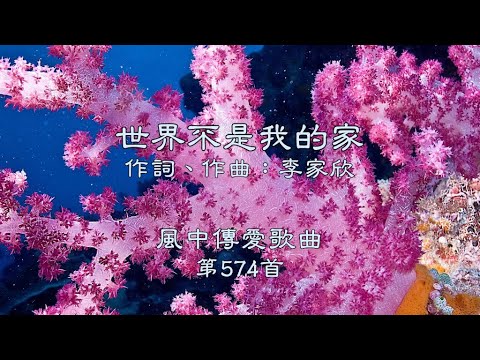 和風音樂--w574 歌名：世界不是我的家（作詞，作曲：李家欣）