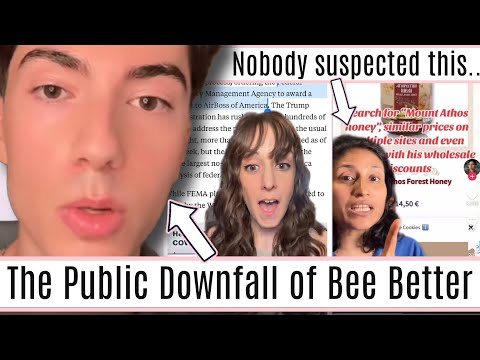 The Downfall of Bee Better Gets Worse (the irony)