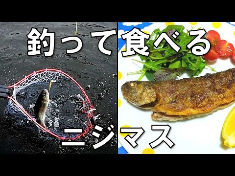 【釣って食べる】≪ニジマス≫管理釣り場の魚は美味しい 人生初の干物作りと定番ムニエル 下処理にも挑戦しました